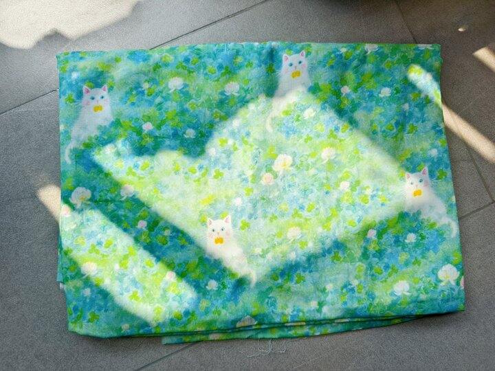 帅汤日记2026.4.7