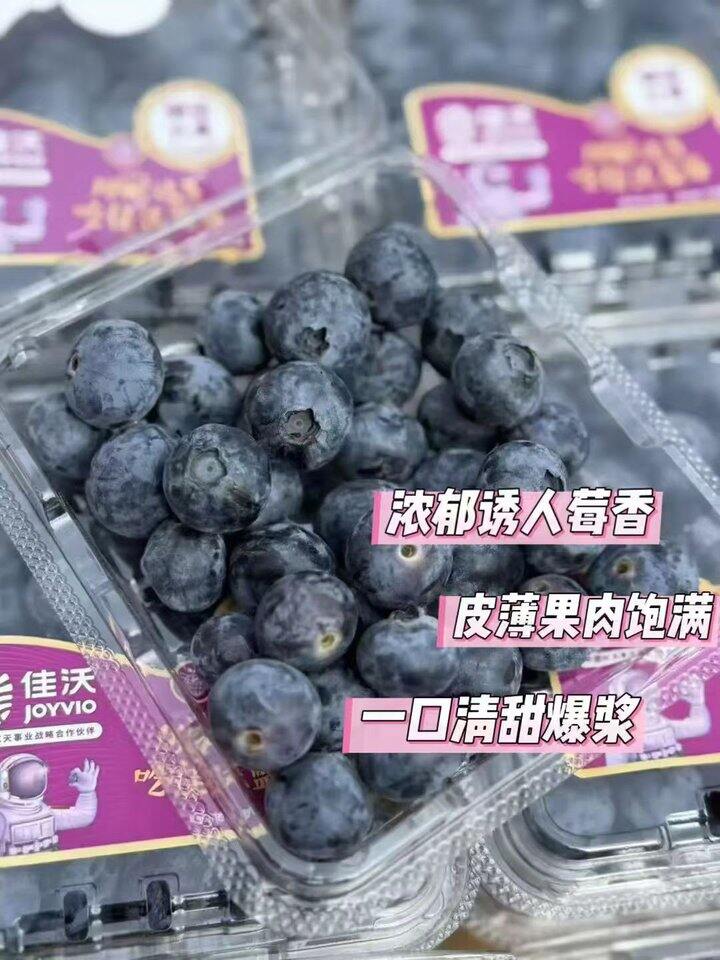 佳沃蓝莓🫐18mm+大果💰6/盒
