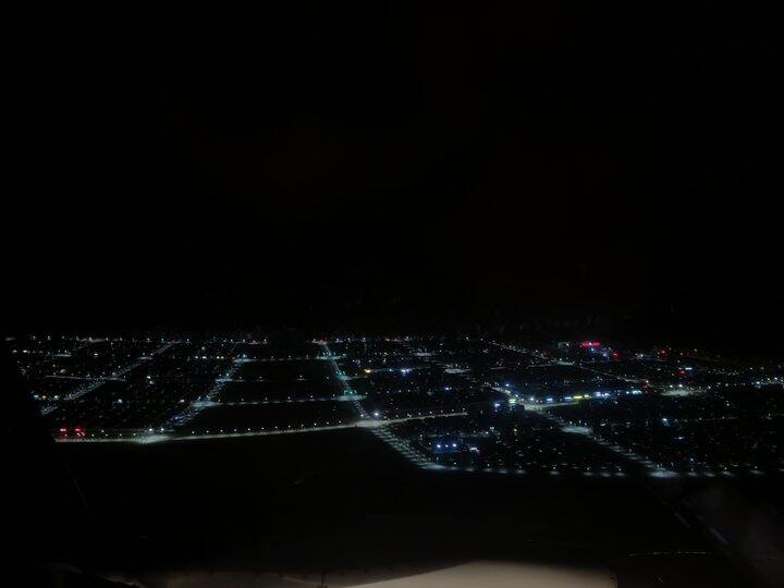 清明林芝雪山映桃花