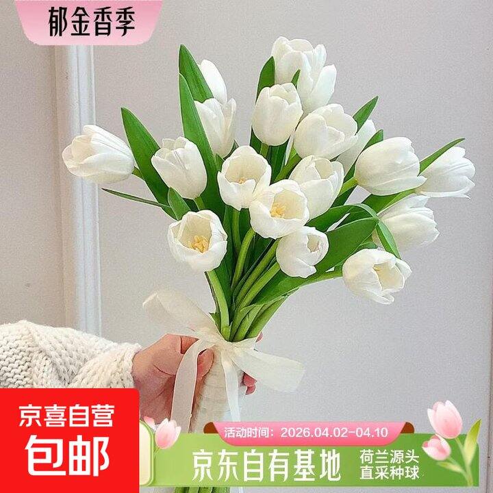 郁金香10支7.9，春天多看点花