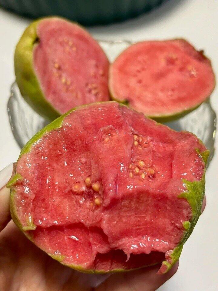 芭乐双拼🚗🚗