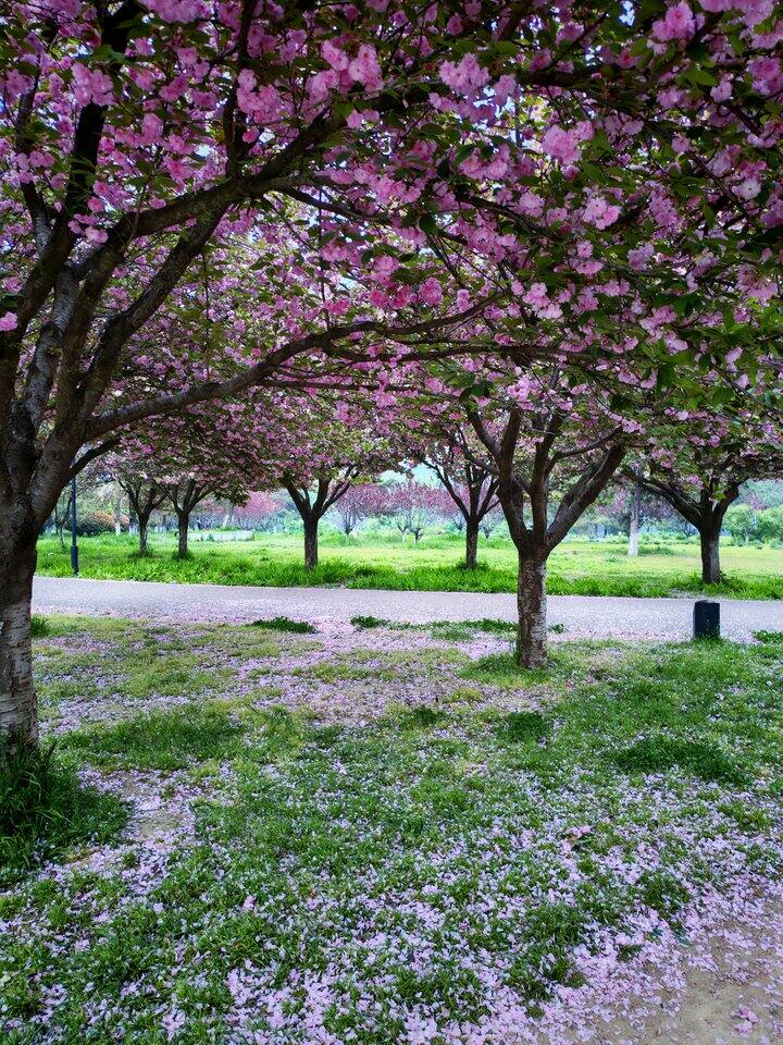 上周末见了对象家长