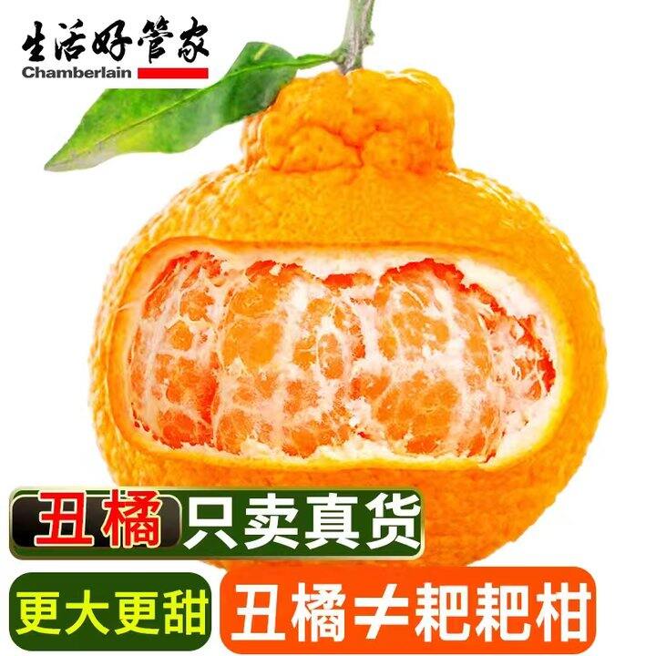 丑橘2.8亓/斤