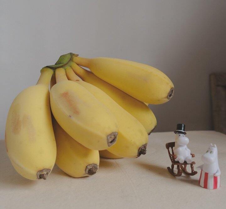 【苹果_嘟嘟蕉🍌】现摘现发，18.8元/箱