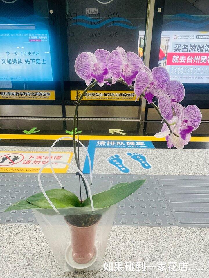 春天到了，希望你心里的花也开了