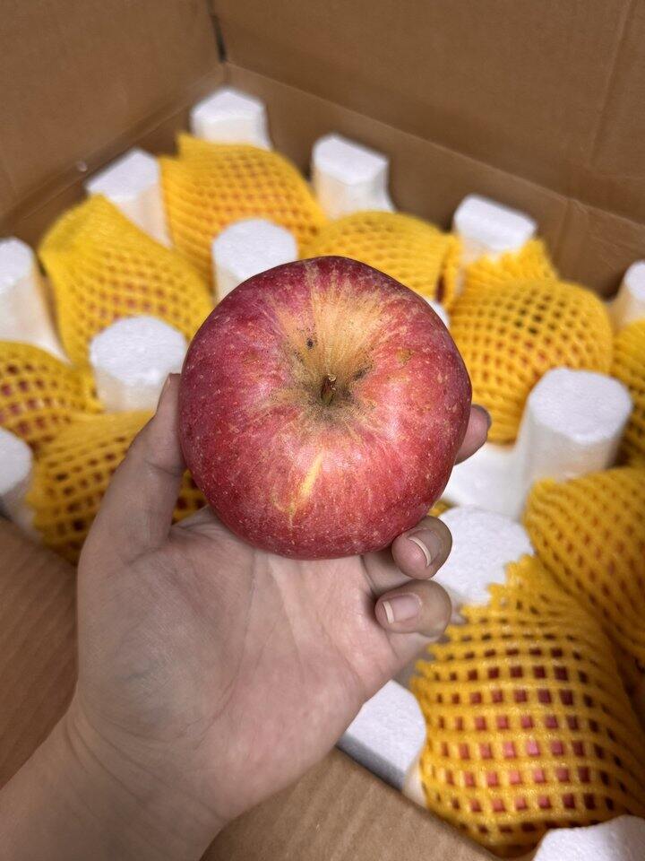 自营红富士🍎