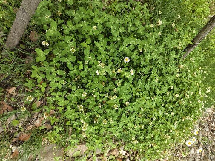 帅汤日记2025.4.12