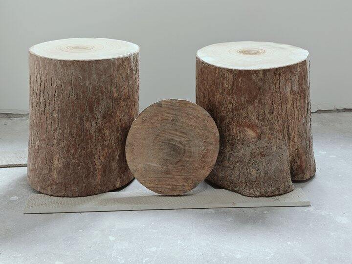 【礼物🎁】香樟木