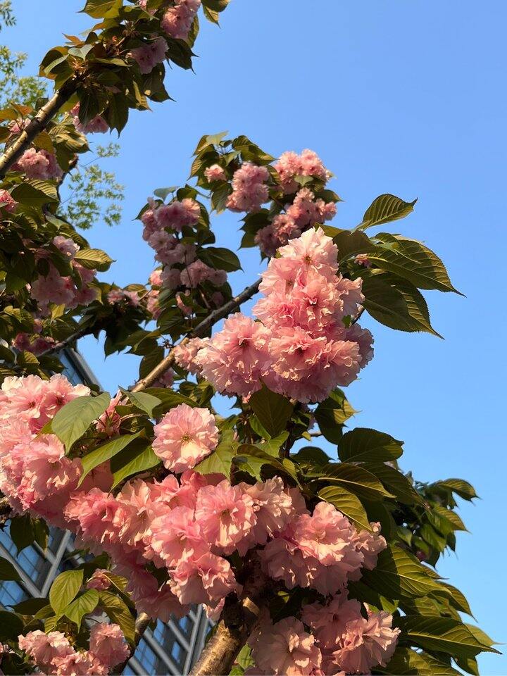 阳光是最好的滤镜