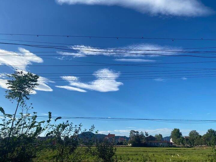 对于我们这种哑巴来说