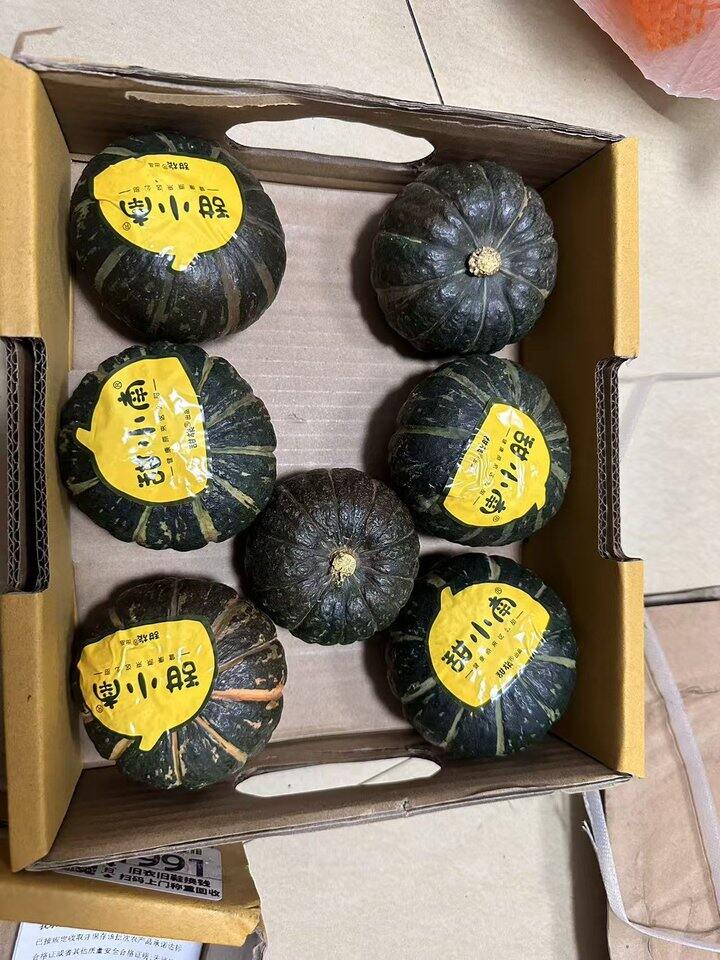 甜小南 贝贝南瓜