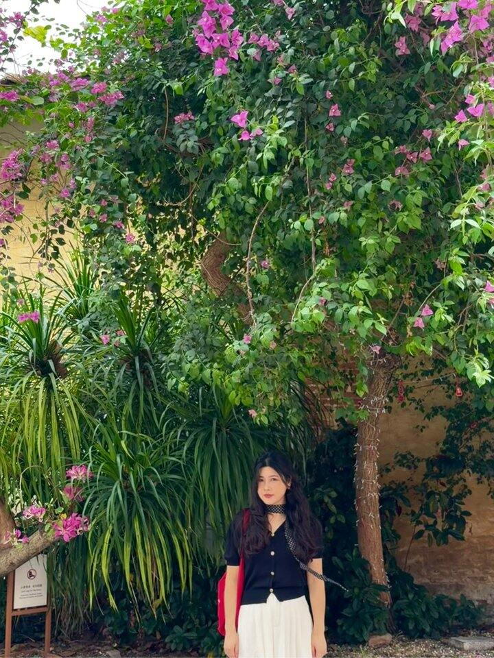 偶尔当当韩国欧尼