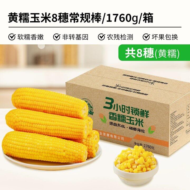 刘老杆东北黄糯玉米8-13根💰16.6