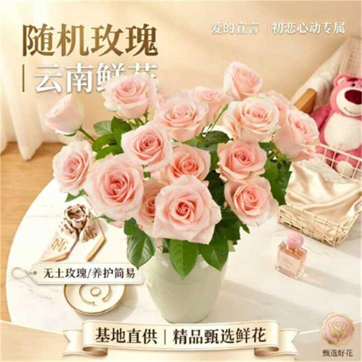 好价,0.8/支❗️一网情深 玫瑰鲜花20枝