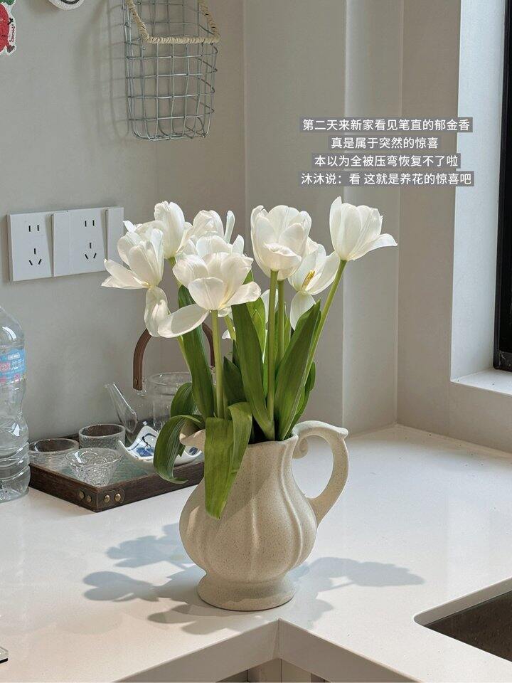 很多个昨天🌷