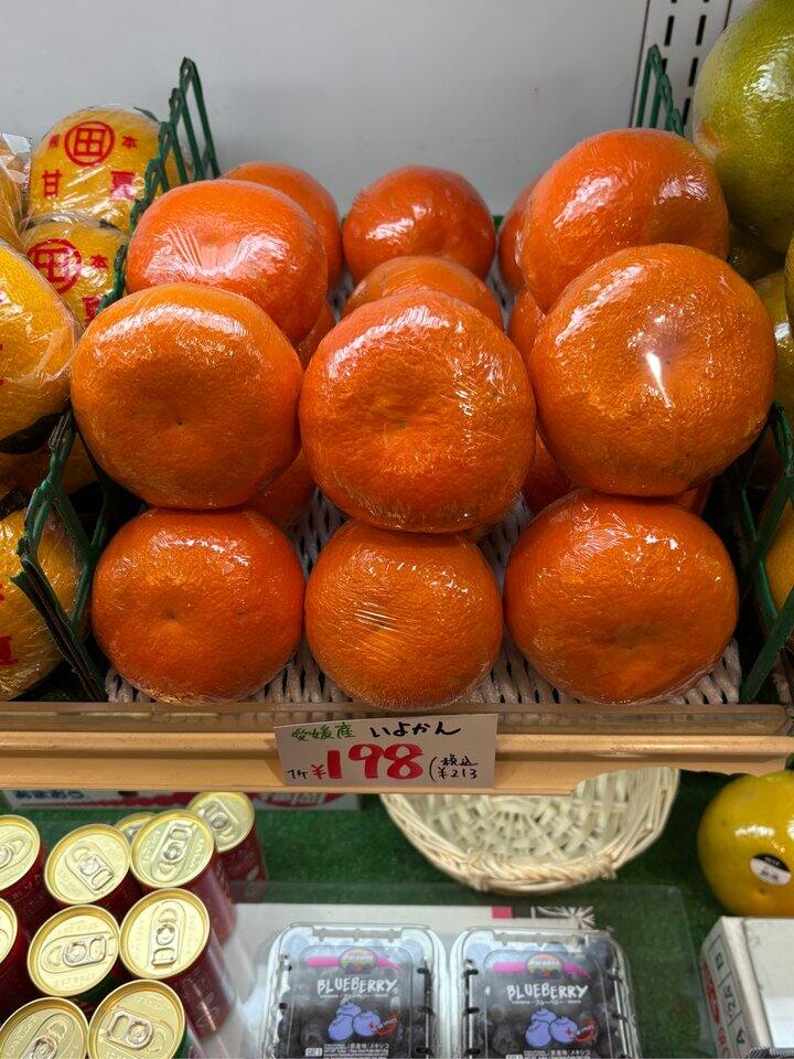 东京🇯🇵目黑区🇯🇵物价一览