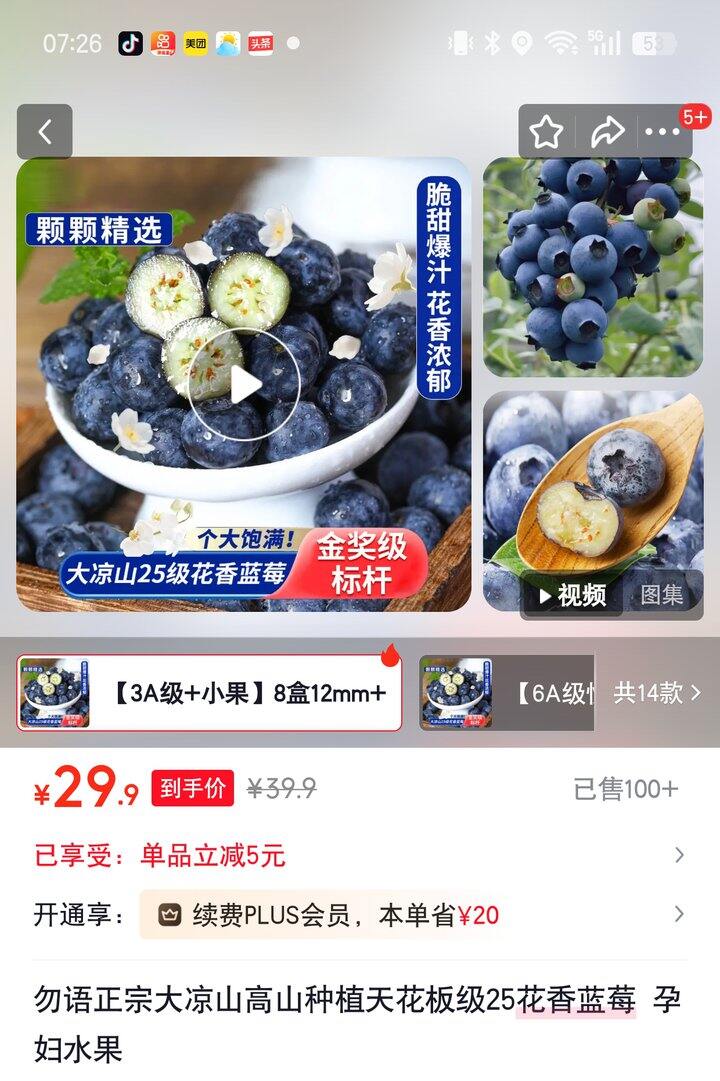 【奶茶东】蓝莓