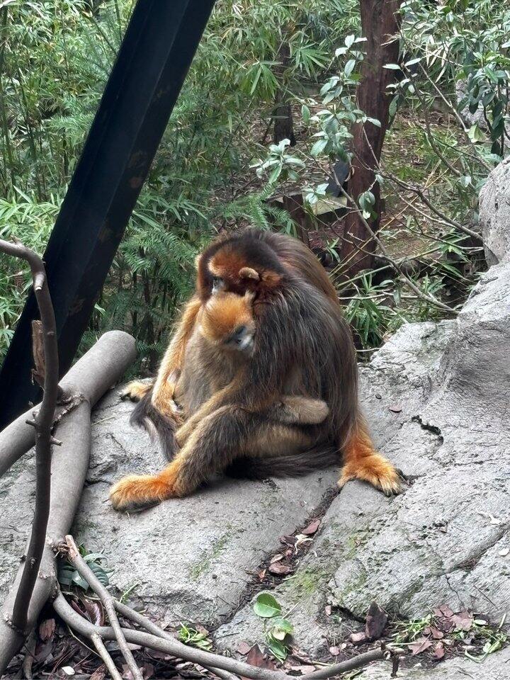 又是一场酣畅淋漓的有氧