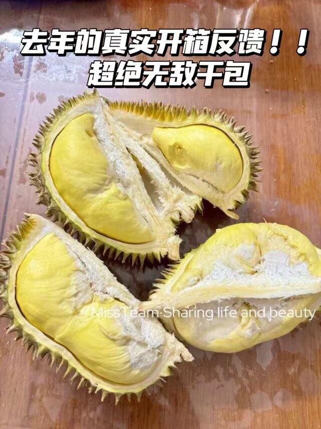 金枕榴莲回归！💰10+