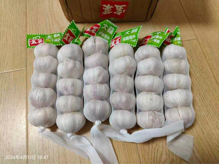 宝菜 大蒜紫皮蒜头