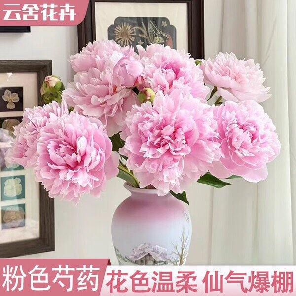 💰1块多一支，貌美重瓣芍药花💐他家挺火的