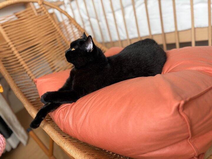 摇椅｜老少皆宜，产前产后皆好用‼️