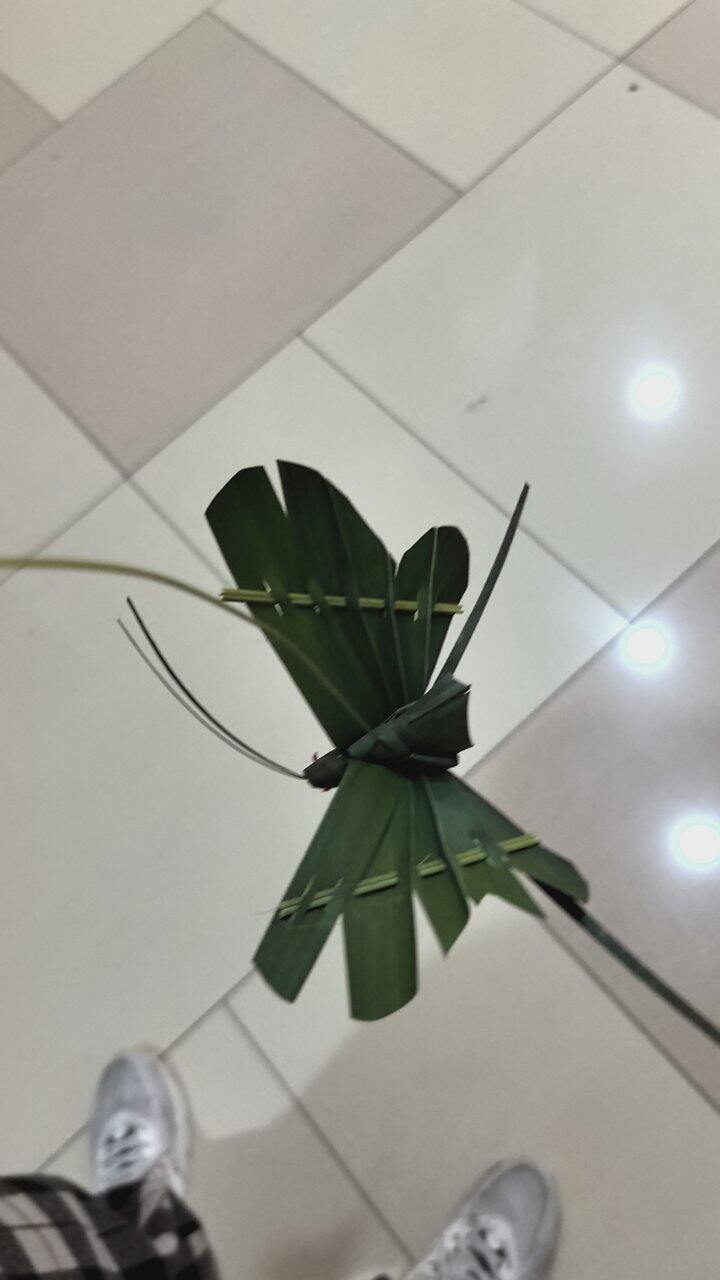 春天公园门口摆摊感觉很赚