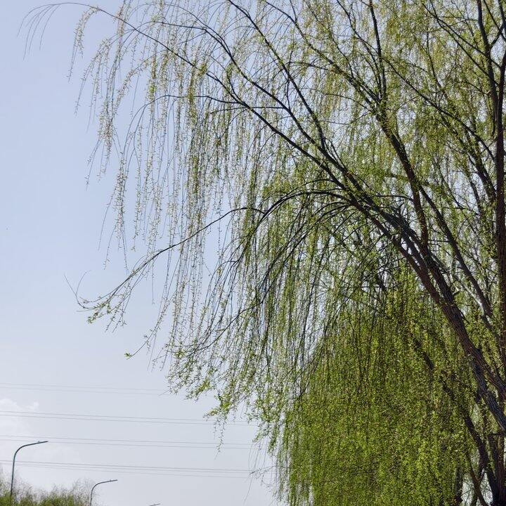 有时候也不知道婚姻到底是什么