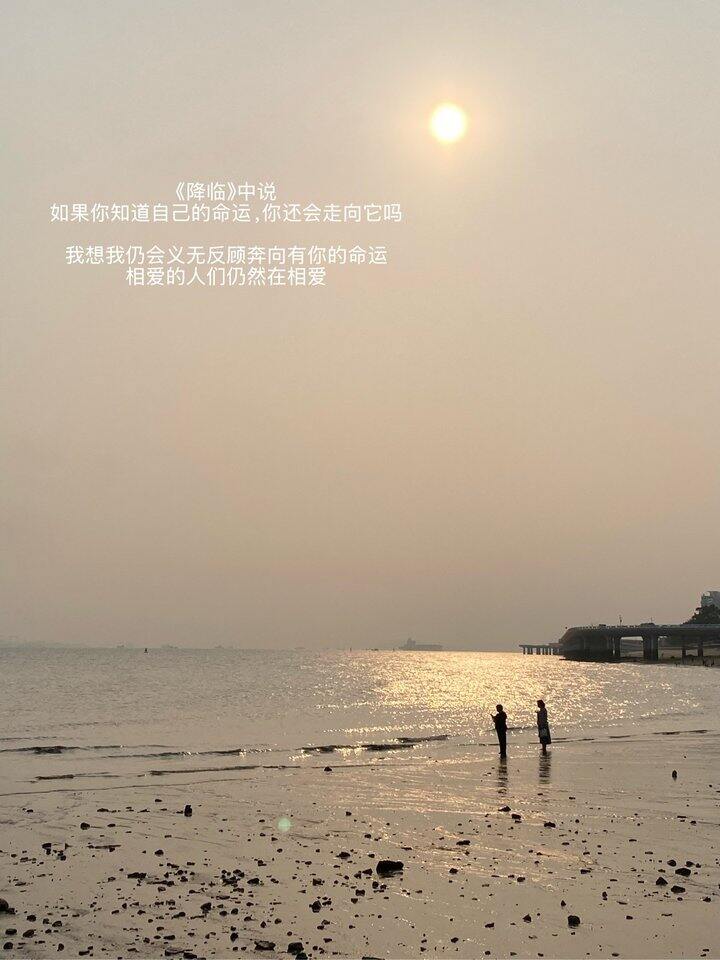 独自旅行plog/厦门