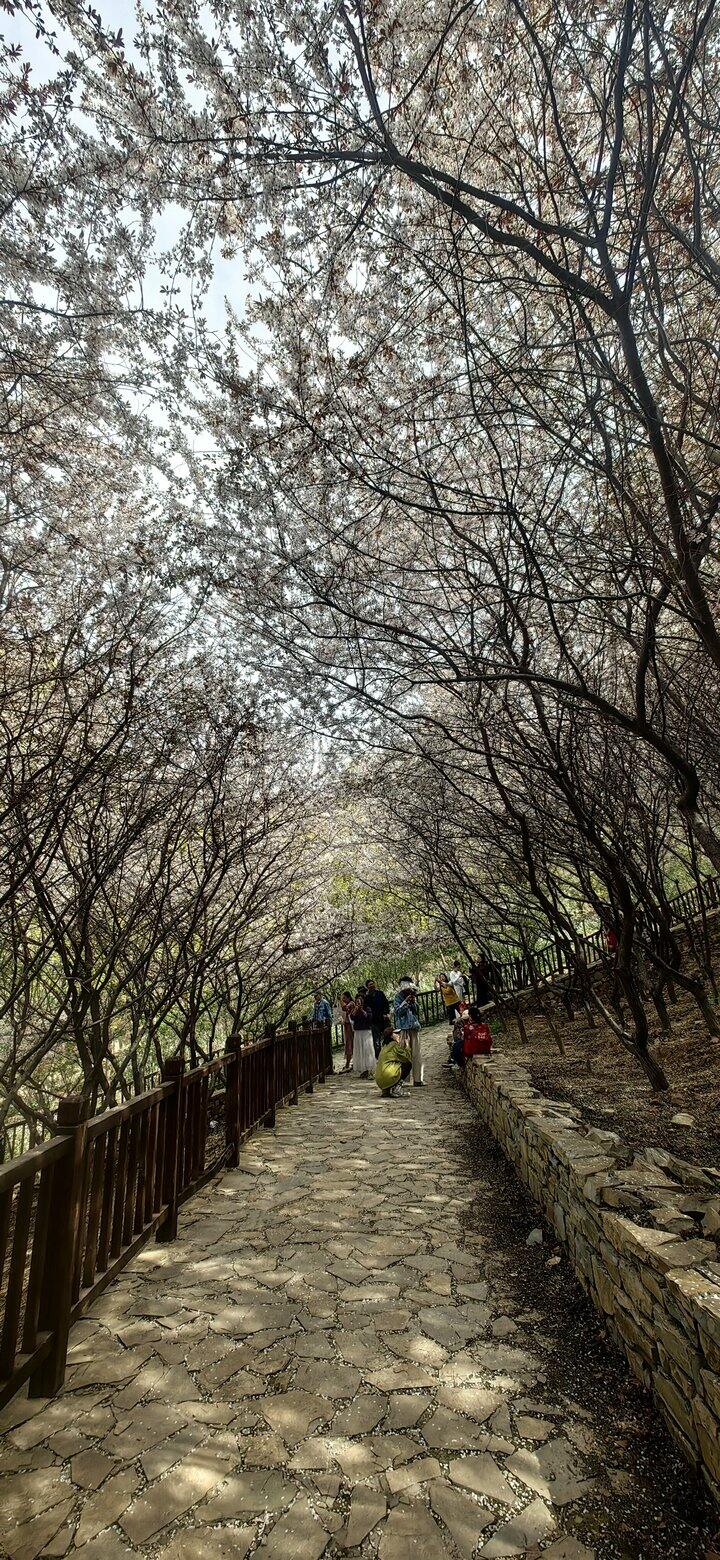 逛公园，和大自然交换能量