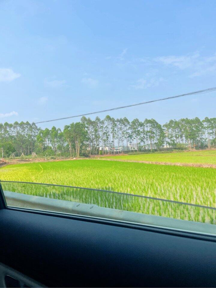 隔壁村好漂亮，感觉快成一个小景点了。我们村怎么就没有这种得天独厚的地理优势呢😄不过我也很喜欢我们村