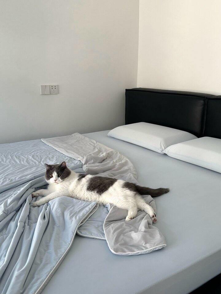 山姆同款小冰皮床笠！💰49.9