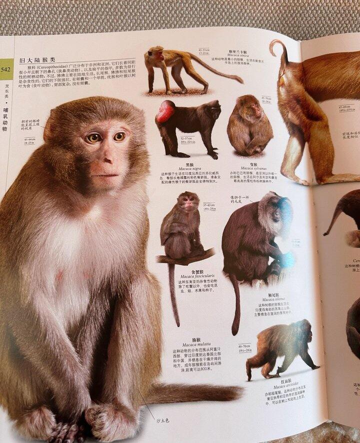 博物大百科点读笔丨99