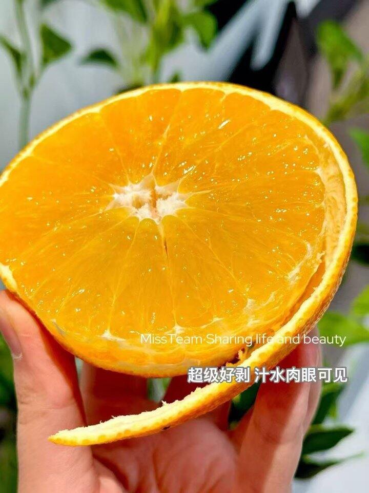 四川青见果冻橙！💰2+