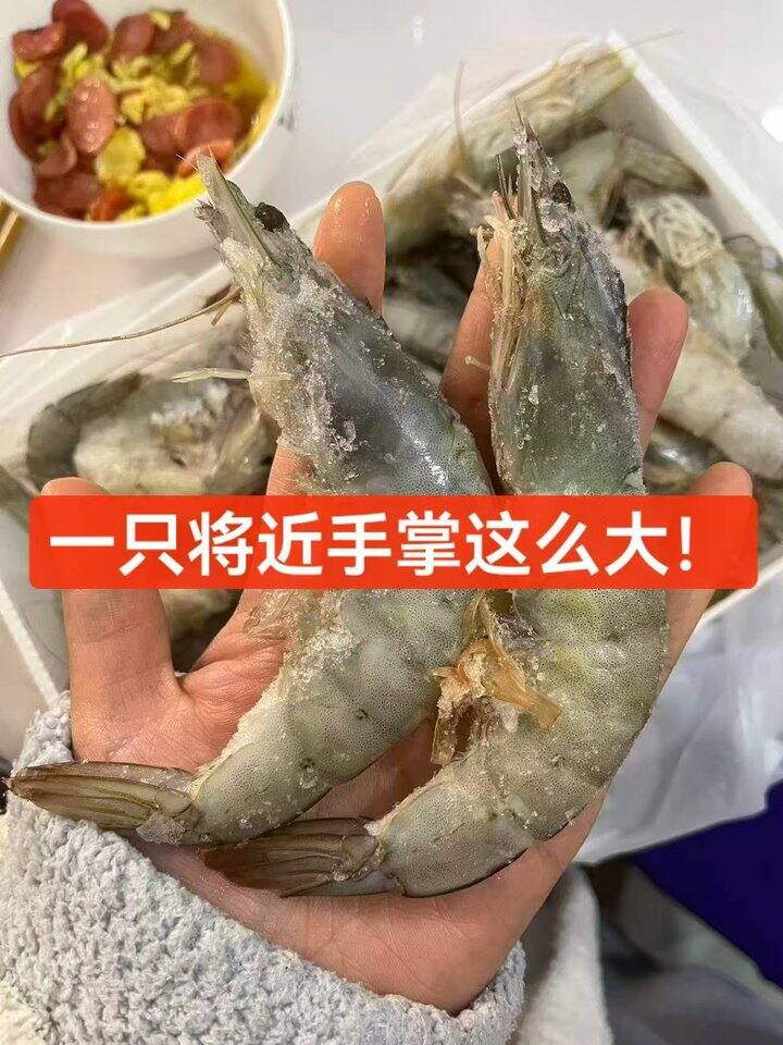 京东自营！厄瓜多尔大白虾！！！