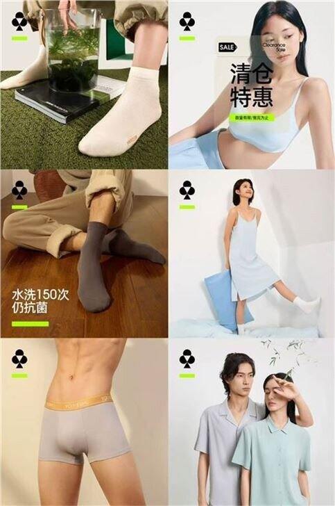 🚀有棵树5折💰24.9