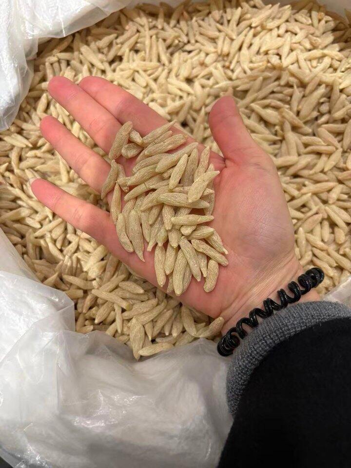 川麦冬大降价了