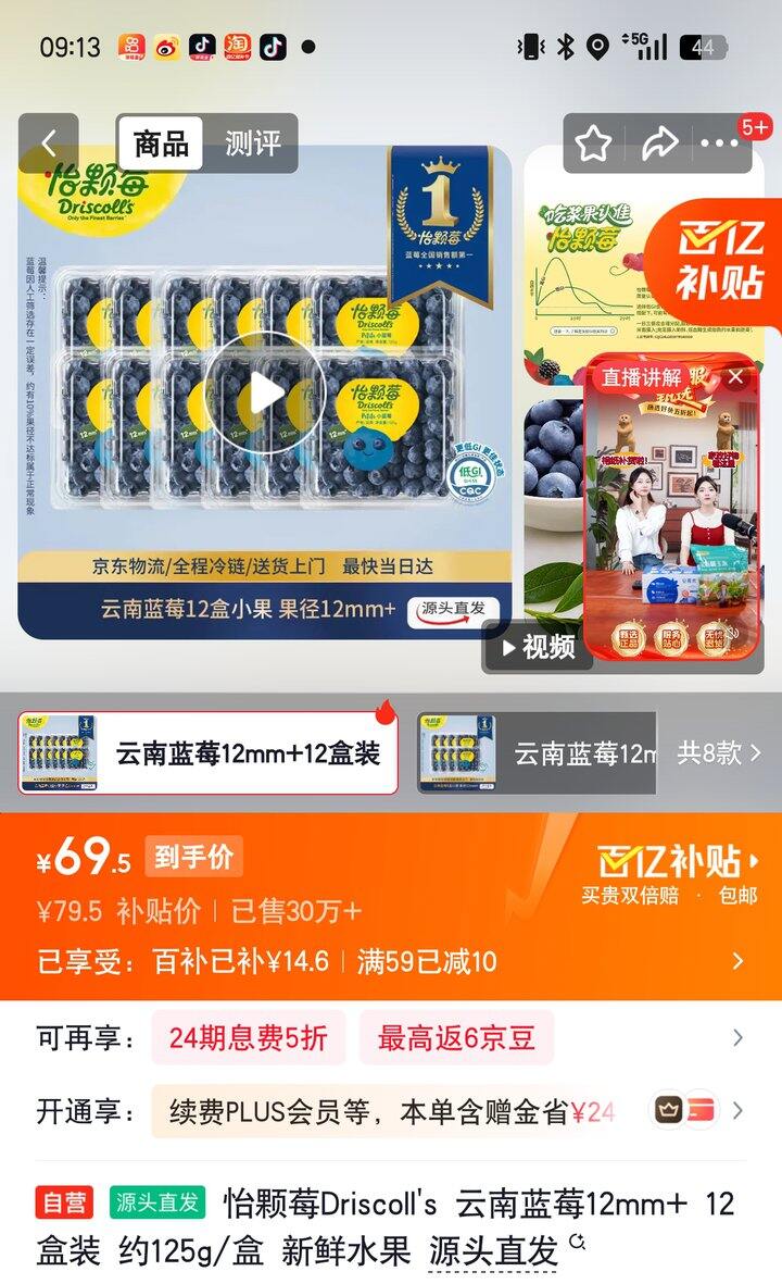 【奶茶东】云南蓝莓