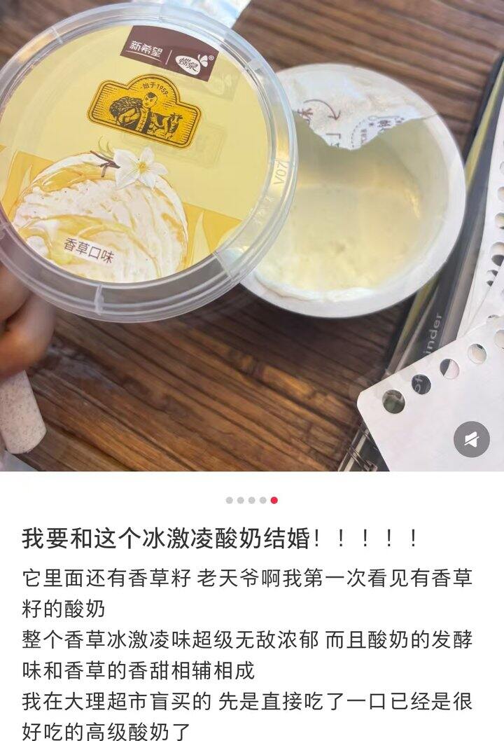 新希望  冰淇淋酪乳