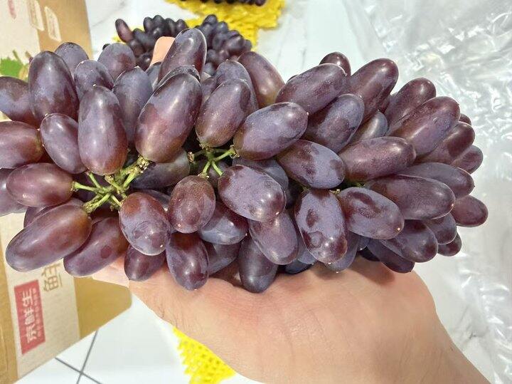 茉莉香葡萄🍇