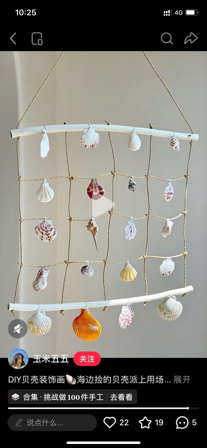 手工| 🔩自制贝壳装饰画