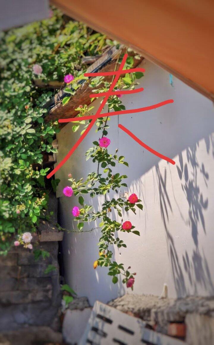 ［随手拍］春游