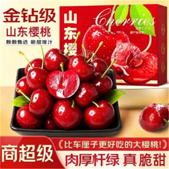 山东大樱桃 ✖️净重4斤，49.9