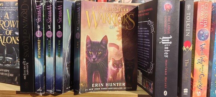 初高中原版读物