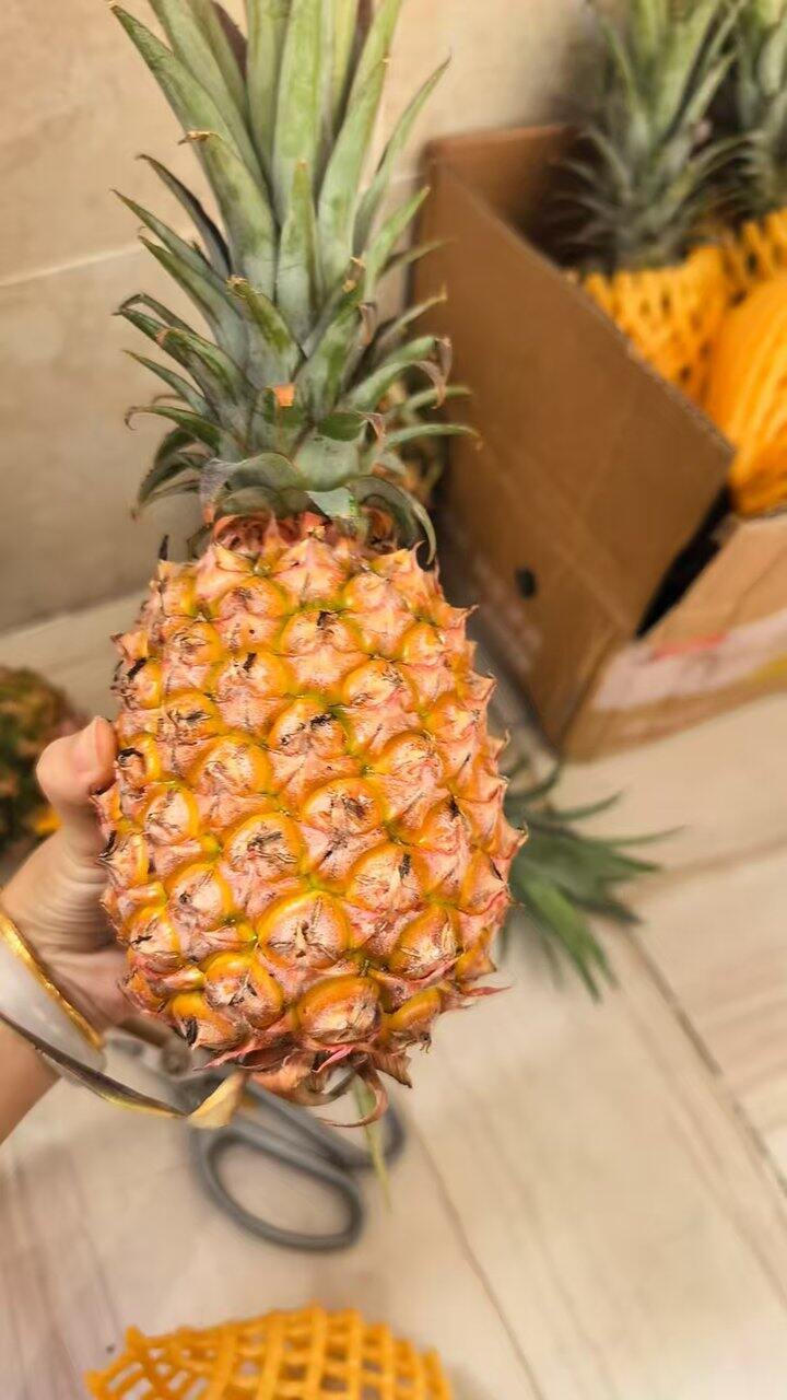自营 金钻凤梨🍍