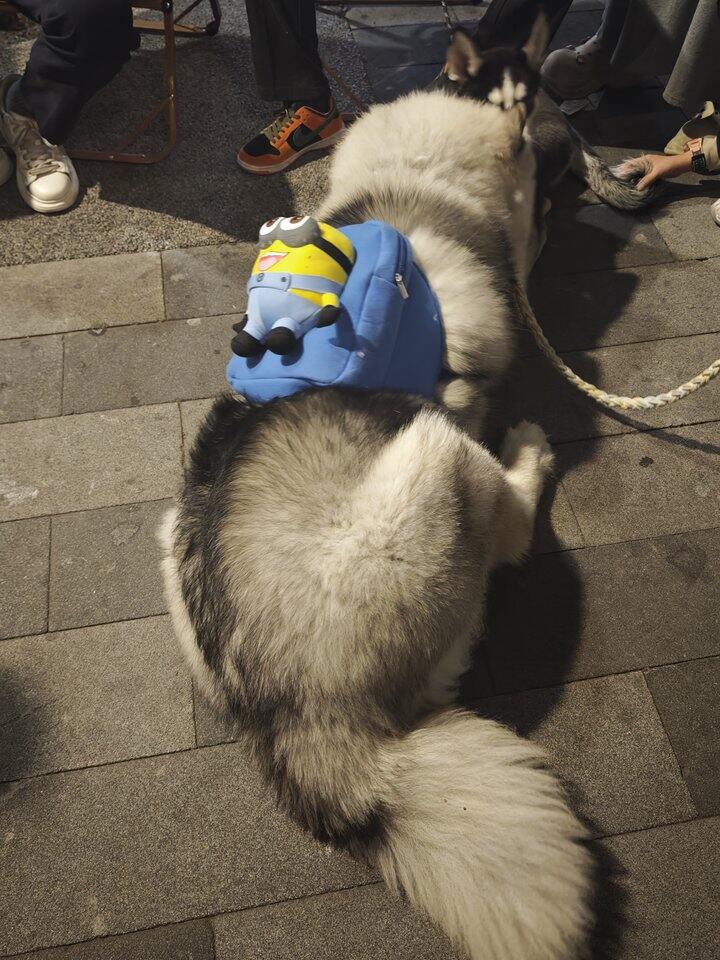 上了年纪看不了情情爱爱，就喜欢看几集碎尸案