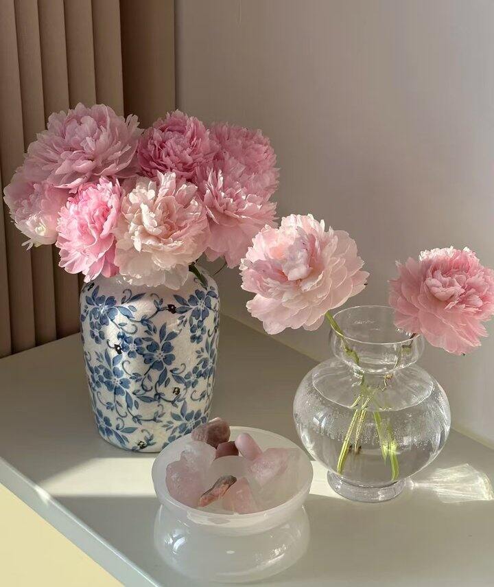 速薅❗🕌云舍花卉 重瓣芍药花10支🚗18.9