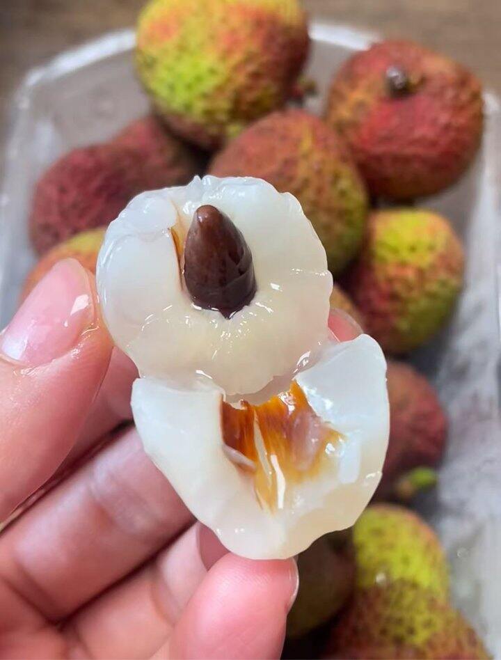 炫荔枝时刻到！💰9.9