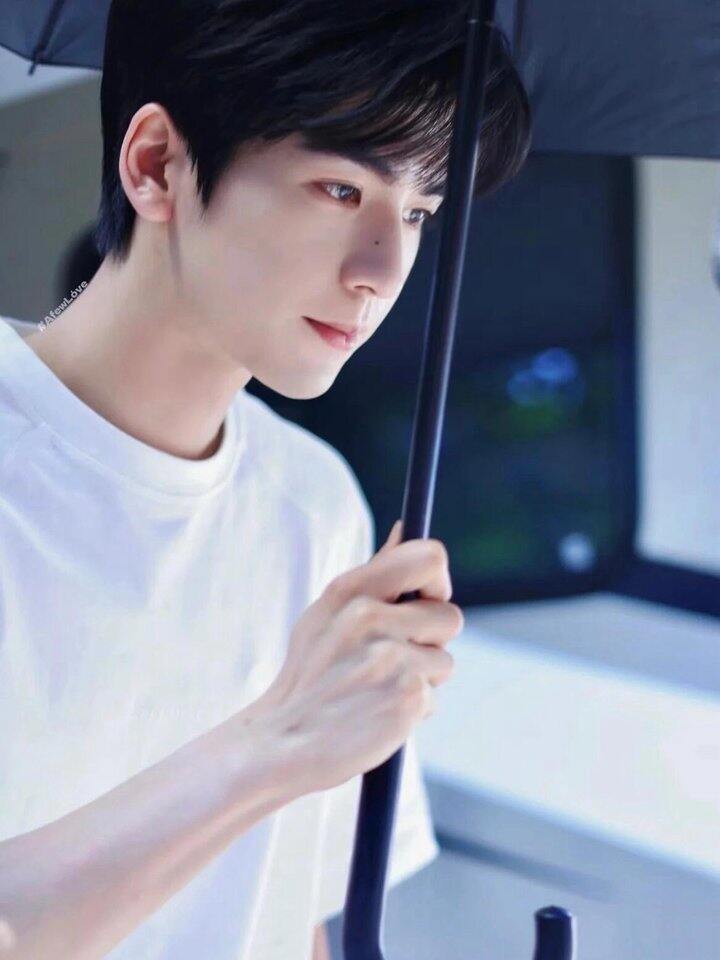 男女同款纯色纯棉白T清仓！💰10+