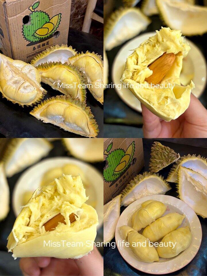 榴莲就如此权威！💰20+